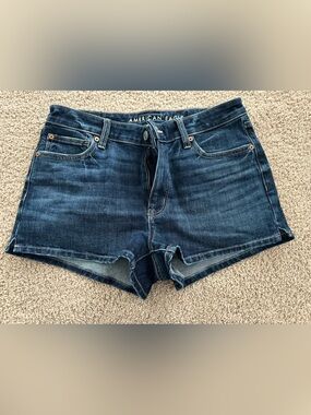 American Eagle Outfitters Dark Blue Denim Women's Shorts